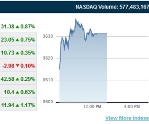 Nasdaq halts options trading